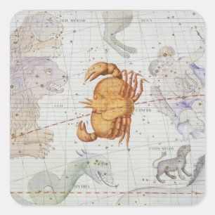 Constellation of Cancer, plate 4 from 'Atlas Coele Square Sticker