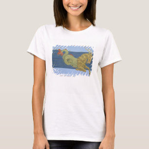 Constellation of Capricorn, from 'Uranometria' by T-Shirt