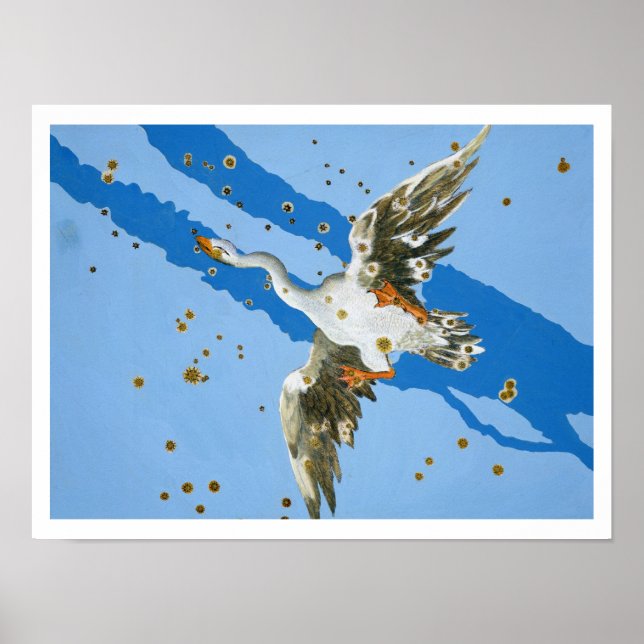 Constellation of Cygnus, from 'Uranometria' writte Poster (Front)