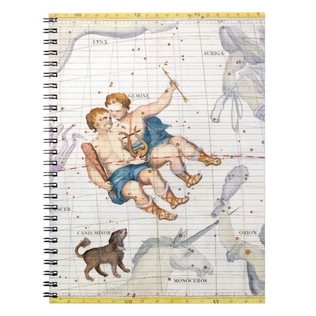 Constellation of Gemini with Canis Minor, plate 13 Notebook (Front)