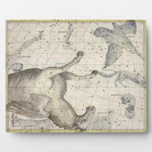 Constellation of Pegasus, plate 25 from 'Atlas Coe Plaque