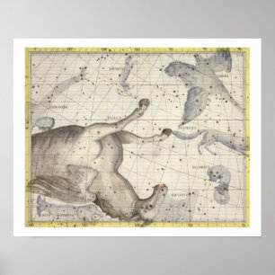 Constellation of Pegasus, plate 25 from 'Atlas Coe Poster
