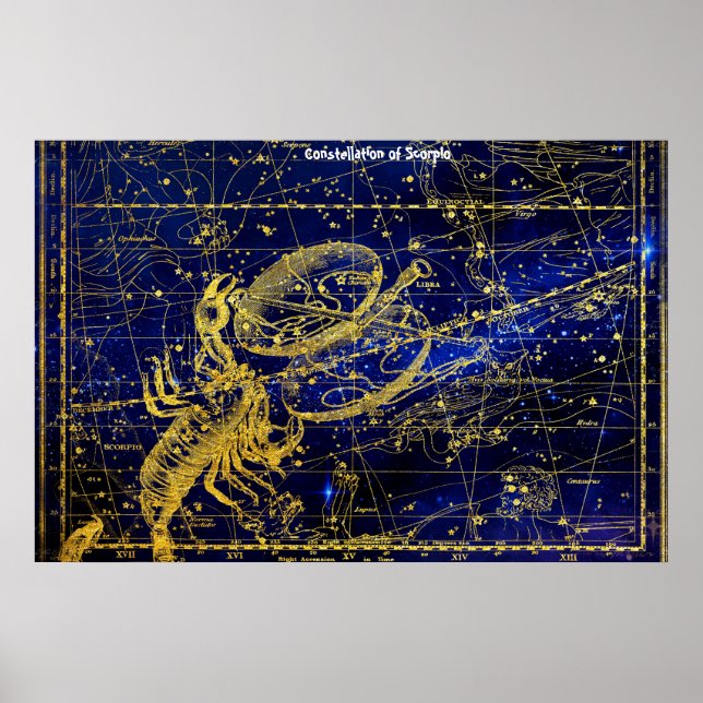 Constellation of Scorpio Poster (Front)