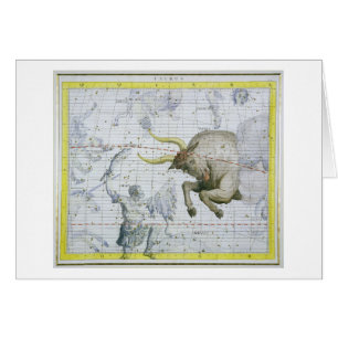 Constellation of Taurus, plate 2 from 'Atlas Coele