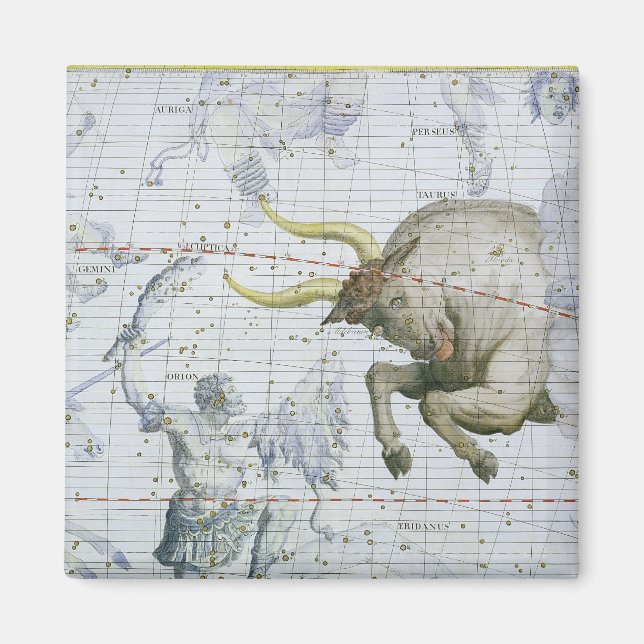 Constellation of Taurus, plate 2 from 'Atlas Coele Magnet (Front)