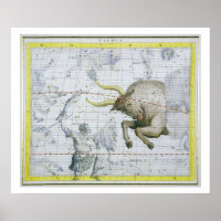Constellation of Taurus, plate 2 from 'Atlas Coele