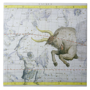 Constellation of Taurus, plate 2 from 'Atlas Coele Tile