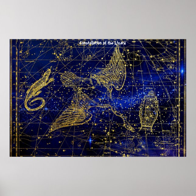 Constellation of the Lizard Poster (Front)