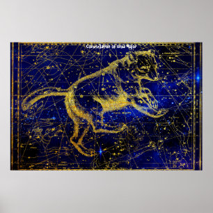 Constellation of Ursa Major Poster