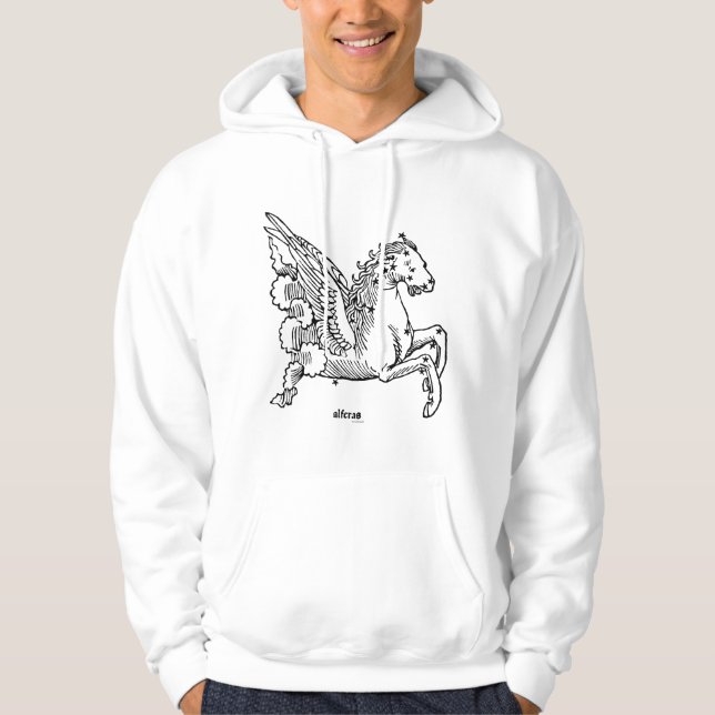 Constellation: Pegasus Hoodie (Front)