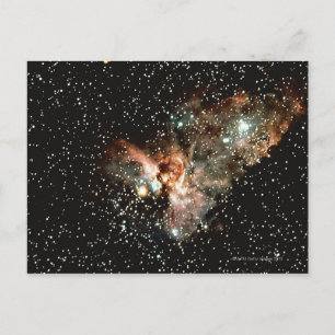 Constellation Postcard