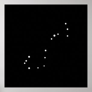 Constellation Scorpius by Leslie Peppers Poster