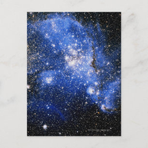 Constellation Tucana Postcard