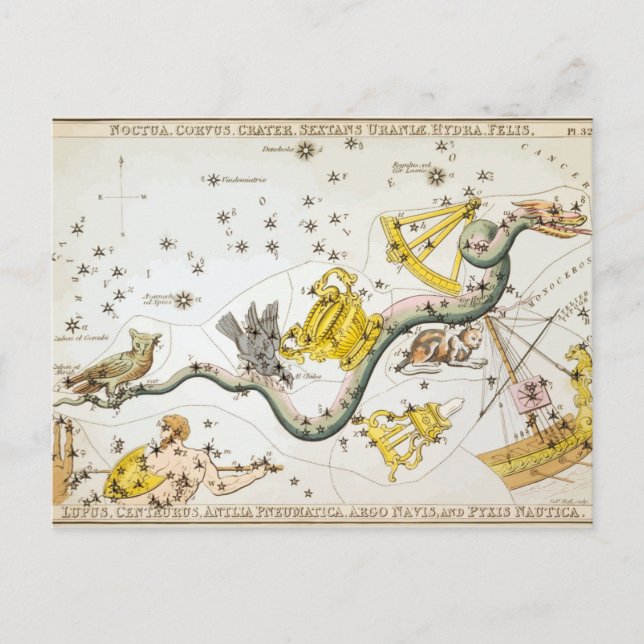 Constellations - Stars - Classic Astronomy Postcard (Front)