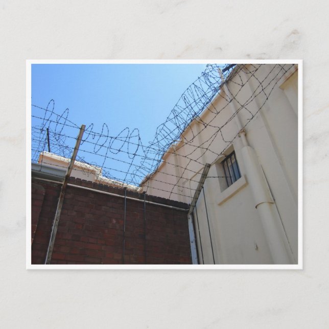 constitution hill barbed wire postcard (Front)