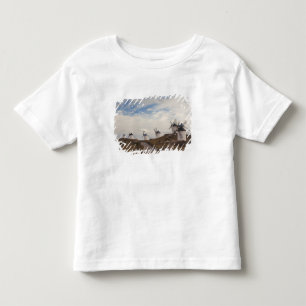 Consuegra, antique La Mancha windmills Toddler T-Shirt