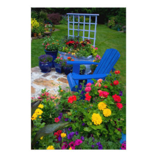 Container Garden design with blue chair in our Photo Print