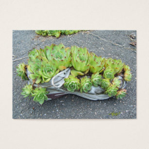 Container Gardening ~ ATC