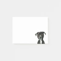 "Contemplating" Pit Bull Dog Painting