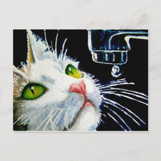 Contemplation Postcard