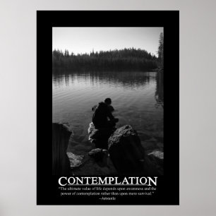 Contemplation Poster