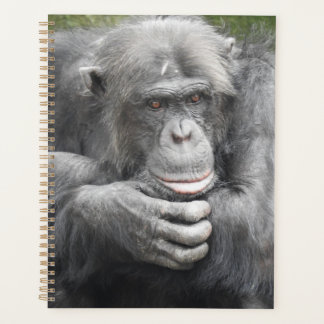 Contemplative Chimpanzee Planner