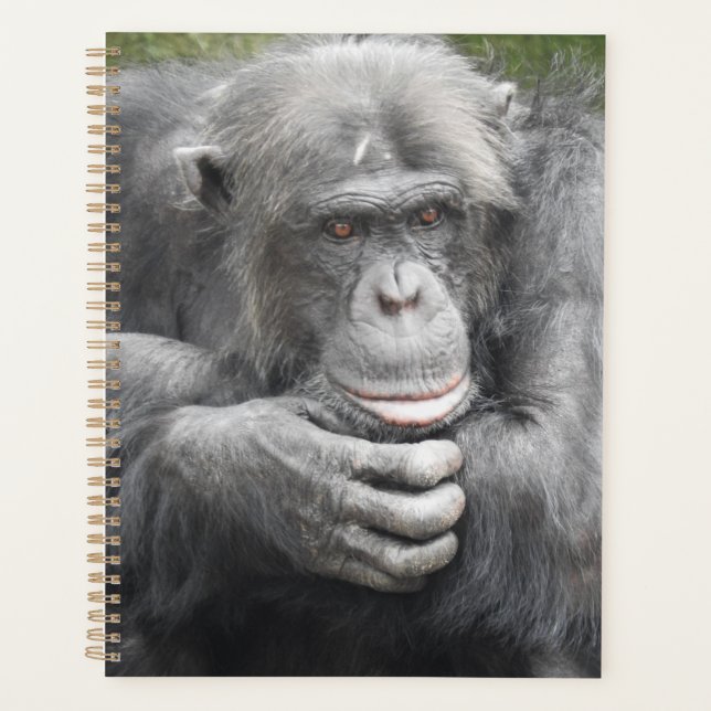 Contemplative Chimpanzee Planner (Front)