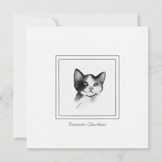 Contemporary Cat Sketch of a Domestic Shorthair Card