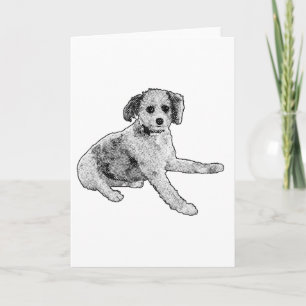 Content Friend, Warm Message Card