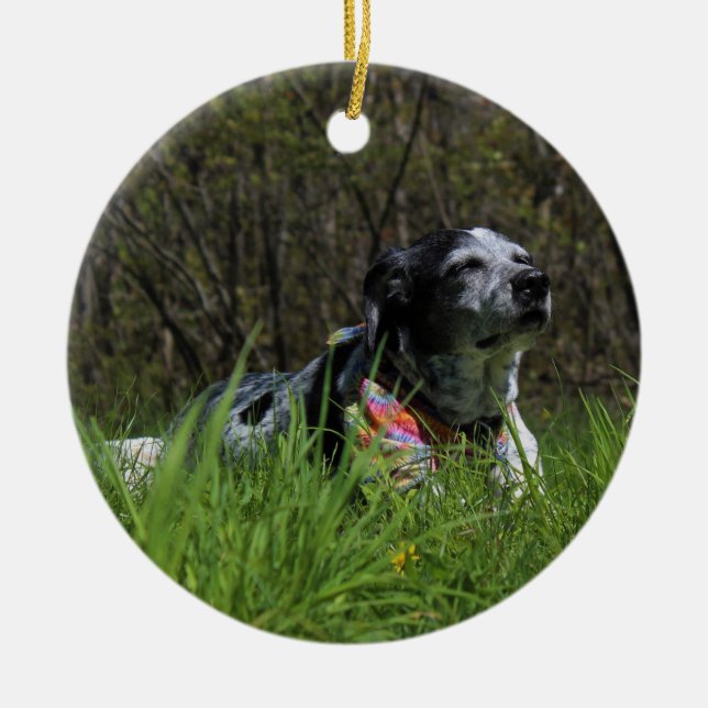 Contentment Ceramic Ornament (Front)