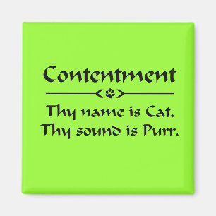 Contentment thy name is cat magnet