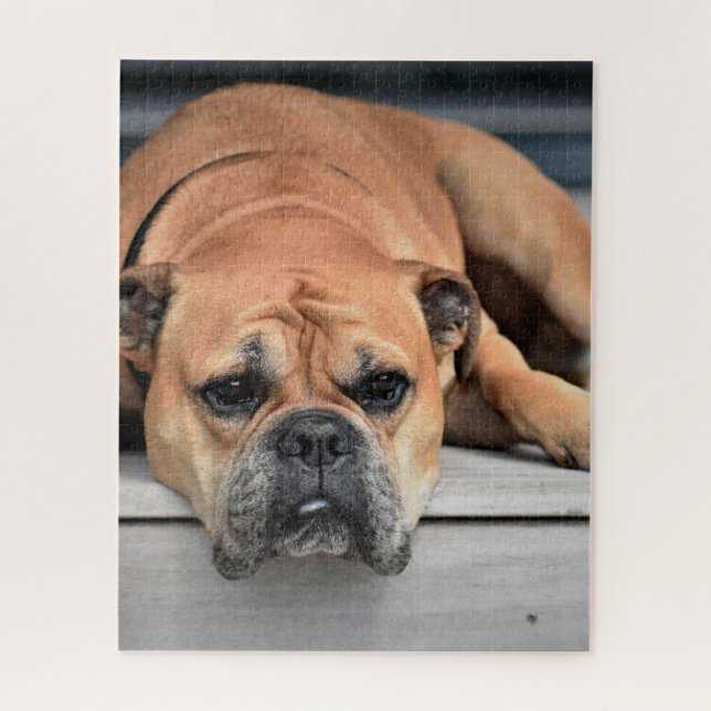 Continental Bulldog Customisable Jigsaw Puzzle (Vertical)