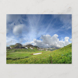 Continental Divide Meadow - Colorado Trail Postcard