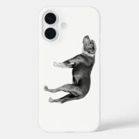 Contour Calm, Pit Mix