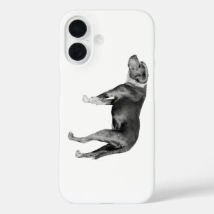 Contour Calm, Pit Mix iPhone 16 Case