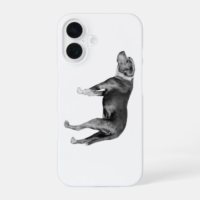 Contour Calm, Pit Mix iPhone 16 Case (Back)
