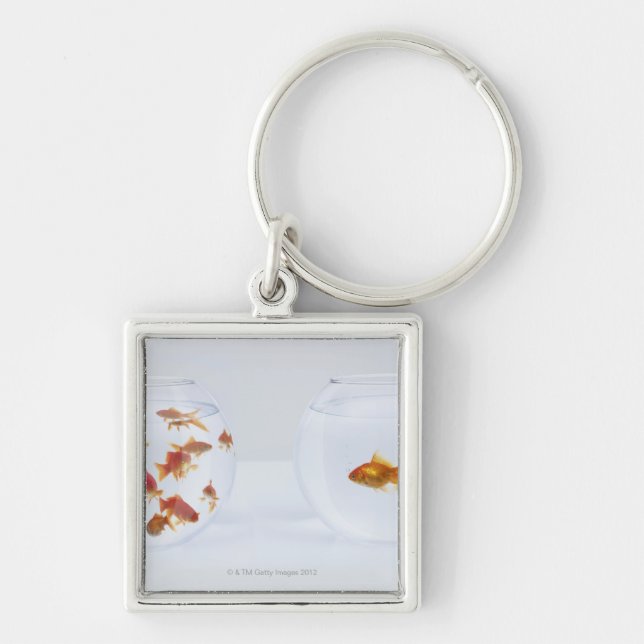 Contrast of  many goldfish in fishbowl and key ring (Front)