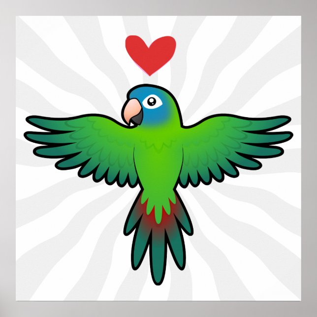 Conure / Lorikeet / Parrot Love Poster (Front)