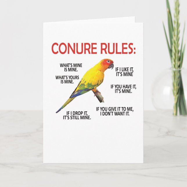 Conure Owner Conure Lover Parrot Bird Sun Conure Card (Front)