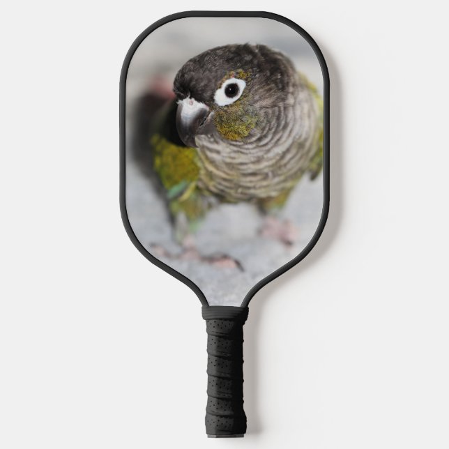 Conure  pickleball paddle (Front)