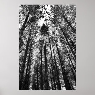 Converging Minds Poster