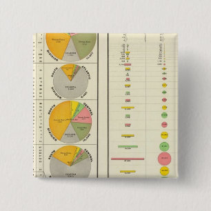 Convicts in Penitentiaries by State 15 Cm Square Badge