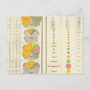 Convicts in Penitentiaries by State Postcard