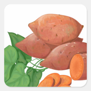 Cook a Sweet Potato Day - Appreciation Day Square Sticker