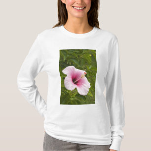 Cook Islands, Atiu. Hibiscus flower. T-Shirt