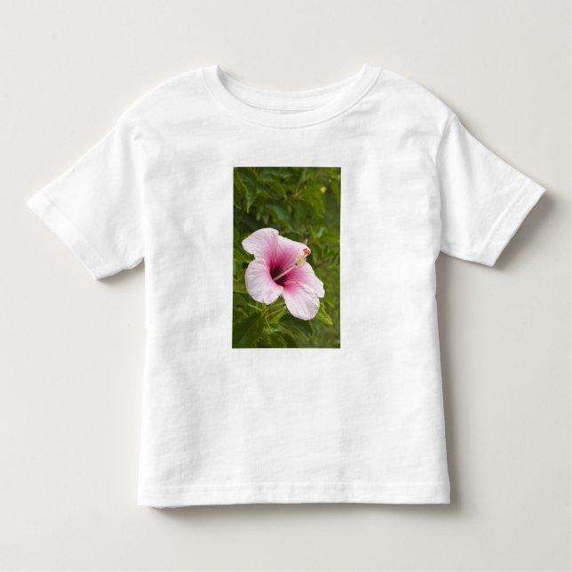 Cook Islands, Atiu. Hibiscus flower. Toddler T-Shirt (Front)