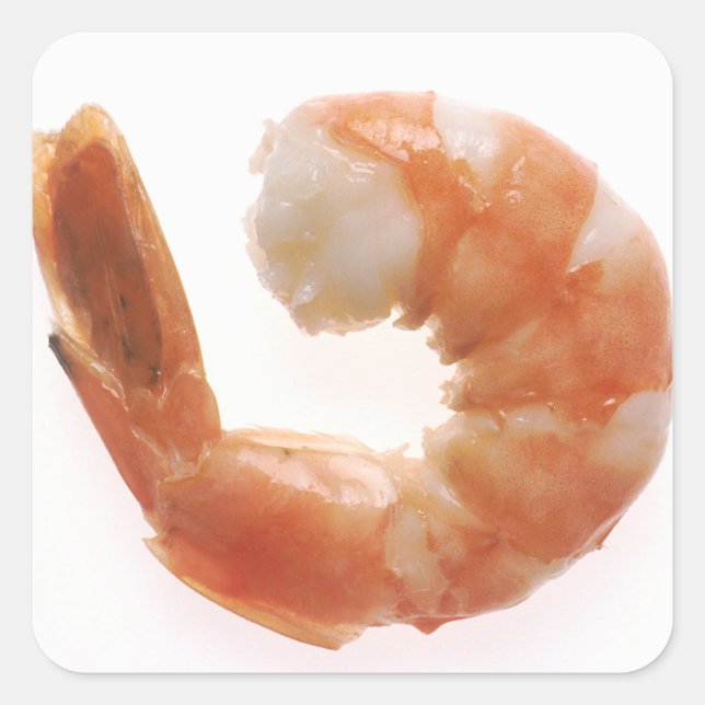 Cooked Shrimp Square Sticker (Front)