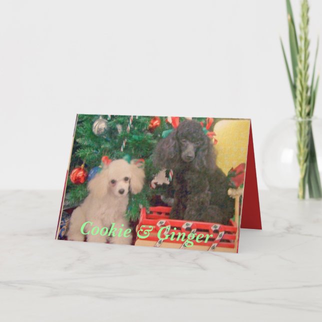 Cookie & Ginger Christmas Holiday Card (Front)