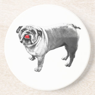 Cookie Hour Companion Coaster