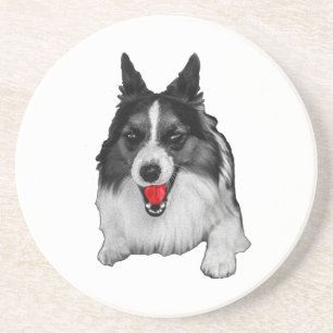 Cookie Hour Companion Coaster
